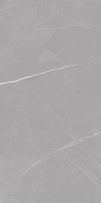 Керамогранит Marjan Tile 8100 Pietra Light Gray 60x120 серый полированный под мрамор