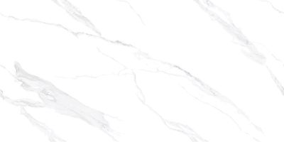 Керамогранит Absolut Gres AB3116G PG9-1260 Carrara Bianco 60x120 full lappato белый лаппатированный под камень