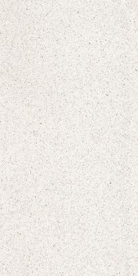 Керамогранит FMAX n152641 Terrazzone Ice Honed 60x120 белый матовый под бетон соль-перец