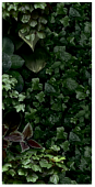 Декор 41zero42 4100154 Paper41 Pro Jane D 50x100 зеленый глазурованный матовый флористика 