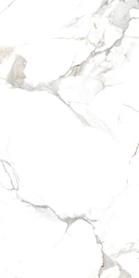 Керамогранит Maimoon Ceramica Glossy Statuario Cafe Gold 60x120 белый полированный под мрамор