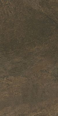 Керамогранит Kerama Marazzi DD503900R Про Стоун 119.5x60 коричневый матовый под камень