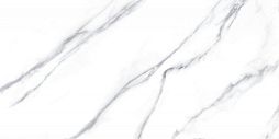 Керамогранит Fanal 918763 Carrara Nplus 60x120 белый глянцевый под мрамор