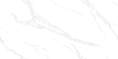 Керамогранит Absolut Gres AB3116G PG9-1260 Carrara Bianco 60x120 full lappato белый лаппатированный под камень