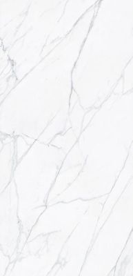 Керамогранит Tau Ceramica Varenna Carrara Pul. (6Mm) 120x260 белый полированный под мрамор