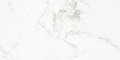 Керамогранит Absolut Gres AB 1112G Carrara Classic 60x120 белый полированный под камень