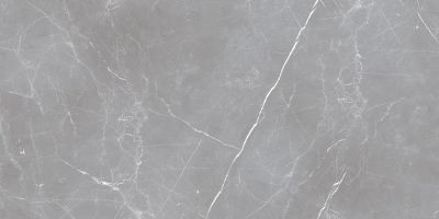Керамогранит Ocean Ceramic IRN000030 Arion Gray Dark 60х120 (59.7х119.7), 20мм серый глазурованный матовый под камень