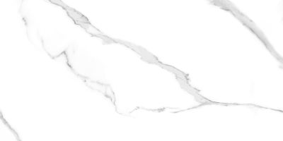 Керамогранит Artcer 889 Marble Carrara 60x120 белый полированный под мрамор