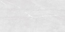 Настенная плитка Laparet 00-00-5-08-00-06-2460 х9999278244 Savoy 40x20 серая глазурованная глянцевая под мрамор