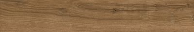 Керамогранит TAU Ceramica 04661-0001 Loire Umber 20x120 коричневый матовый под дерево