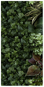 Декор 41zero42 4100151 Paper41 Pro Jane A 50x100 зеленый глазурованный матовый флористика 