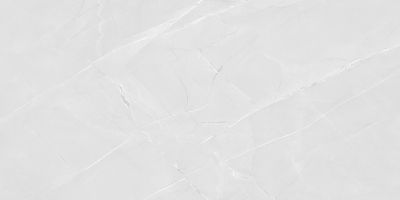 Керамогранит Absolut Gres AB 1166G Armani Bianco 60x120 белый / серый полированный под камень