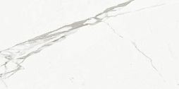Керамогранит Ariostea P612516R10 Marmi Classici STATUARIO CLASSICO Naturale 60x120 белый / серый матовый под мрамор