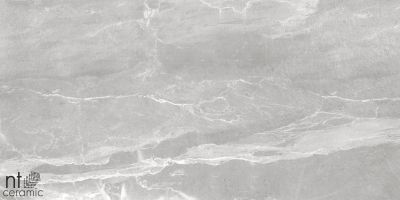 Керамогранит NT Ceramic NS612NTT9026L Slate Grey 60x120 серый лаппатированный под камень / мрамор