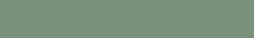 Бордюр Topcer 5STP28/1C Strip Color № 28 - Light Green 2.1x13.7 зеленый матовый моноколор