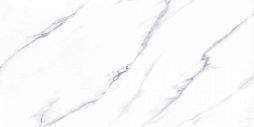 Керамогранит Fanal 918762 Carrara Lap 60x120 белый лаппатированный под мрамор