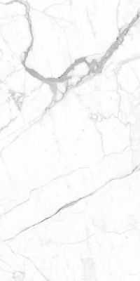 Керамогранит Favania F1013 Statuario 120x240 белый матовый под камень