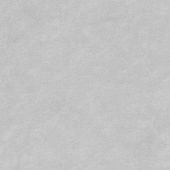 Керамогранит Керамин Орлеан 1 50x50 светло-серый глазурованный матовый под бетон