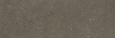 Керамогранит Arch Skin SC.BX.CN.NT Cement 100x300 серый матовый под камень