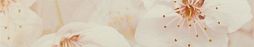 Бордюр Gracia Ceramica 010212001777 Сакура 01 400х75 бежевый глянцевый под обои / флористика