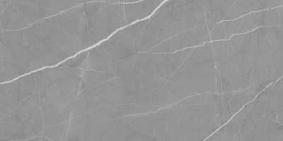Настенная плитка Laparet 00-00-5-18-01-06-3618 х9999285819 Rubio 60x30 серая глазурованная глянцевая под мрамор
