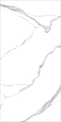 Напольная плитка Global Tile PGT 2196 60х120 белая полированная под мрамор
