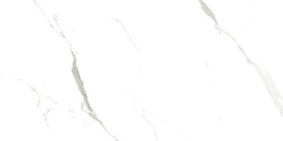 Керамогранит Artcer 902 Marble Vena Fine Statuario 60x120 белый полированный под мрамор