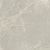 Керамогранит Primavera NR102 Mizar Light grey 60x60 серый матовый под мрамор
