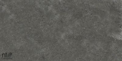 Керамогранит NT Ceramic PP459NTT77003L 45x90 серый лаппатированный под бетон в стиле лофт