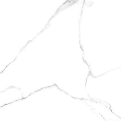 Керамогранит ALMA Ceramica GFU04CRR00R Carrara / Vivienne 60x60 белый глазурованный матовый под камень