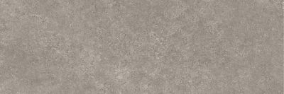 Керамогранит Arch Skin SP.PS.GP.NT Cement 100x300 коричневый матовый под камень