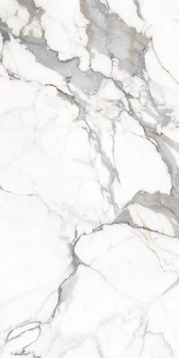 Керамогранит Primavera PR223 Maverick White polished 60x120 белый / серый полированный под мрамор