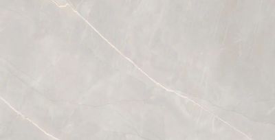 Керамогранит Artcer 384 Marble Royalish Grey 60x120 серый полированный под мрамор