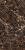 Керамогранит Maimoon Ceramica HG Glossy Emperador Grant Brown 60x120 коричневый полированный под мрамор