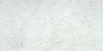 Керамогранит Roca 56805 Marble Arcobaleno Blanco Lux R 60х120 серый лаппатированный под камень