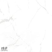 Керамогранит NT Ceramic NTT996070M Callacata carving 60x60 белый карвинг под мрамор