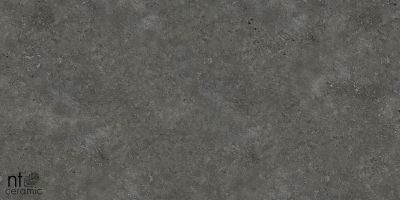 Керамогранит NT Ceramic PP459NTT77003L 45x90 серый лаппатированный под бетон в стиле лофт