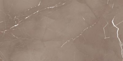 Керамогранит Azteca 51803 Pandora/Passion L Taupe 60х120 коричневый лаппатированный под камень