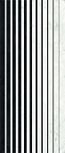 Керамогранит ABK PF60014402 Sensi Fantasy Stripes Lux3 R 120x280 черный / белый полированный / рельефный полосы