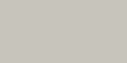 Керамогранит APE Ceramica MPL-030565 Four Seasons Pumice Matt Rect 59.8x119.8 серый матовый моноколор