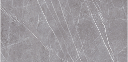 Керамогранит Museum 23459 Greystone Argent/60x120/Ep 60x120 серый матовый под камень