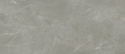 Керамогранит Arch Skin SMG.JW.RM.LC Marble Grey 120x278 серый полированный под камень