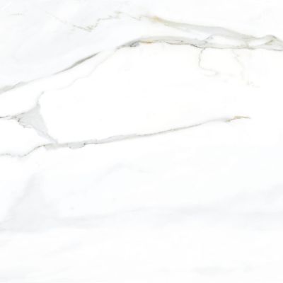 Керамогранит TAU Ceramica 06461-0005 Emporio Calacatta Pulido 60x60 белый полированный под мрамор