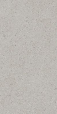 Керамогранит Kerama Marazzi DD591200R Чеппо ди Гре 119.5x238.5 серый матовый под камень