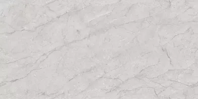 Керамогранит Colortile RP-187480 Awetic Bianco Glossy 60x120 серый полированный под камень