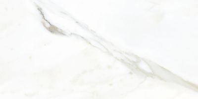 Керамогранит TAU Ceramica 06461-0001 Emporio Calacatta Pulido 30x60 белый полированный под мрамор