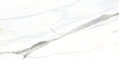 Керамогранит TAU Ceramica 06461-0004 Emporio Calacatta Pulido 60x120 белый полированный под мрамор