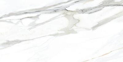 Керамогранит TAU Ceramica 06461-0006 Emporio Calacatta nat. 60x120 белый матовый под мрамор