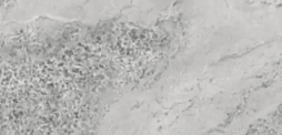 Керамогранит Hafez УТ000030786 Light Gray Gem 80x160 серый глянцевый под бетон / камень