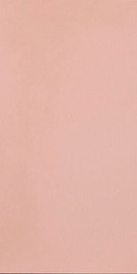 Керамогранит Casalgrande Padana 11460135 R-Evolution Light Pink 60x120 коралловый матовый под бетон